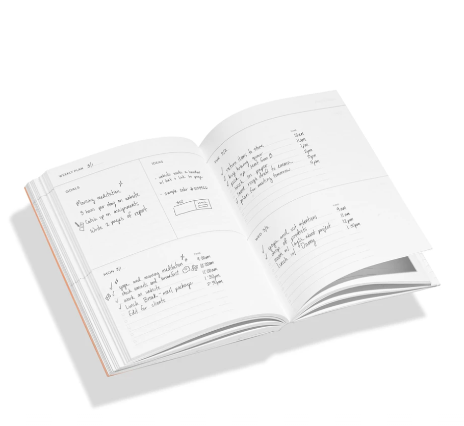 Concept Planner In Peach