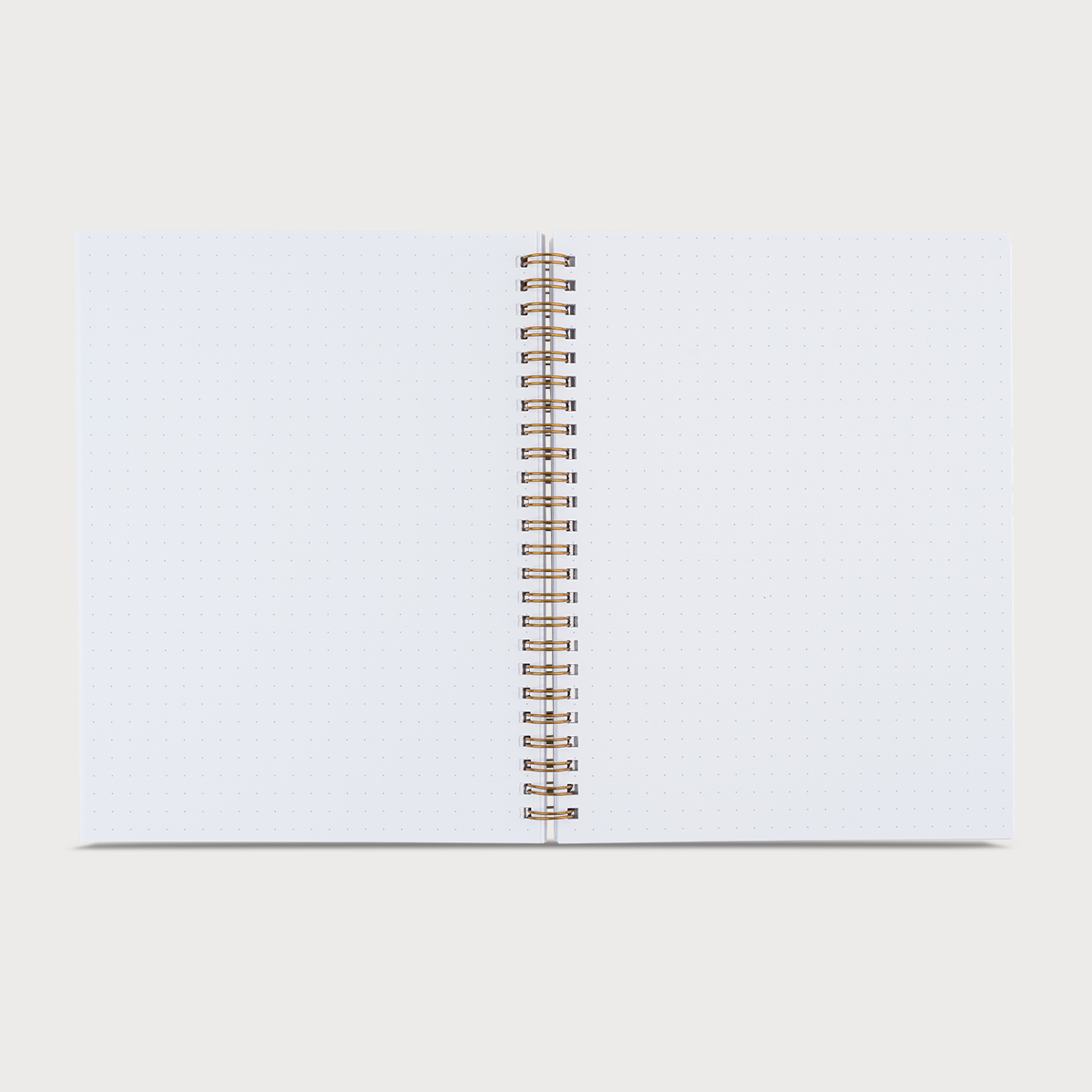 Dot Grid Workbook in Fern Green