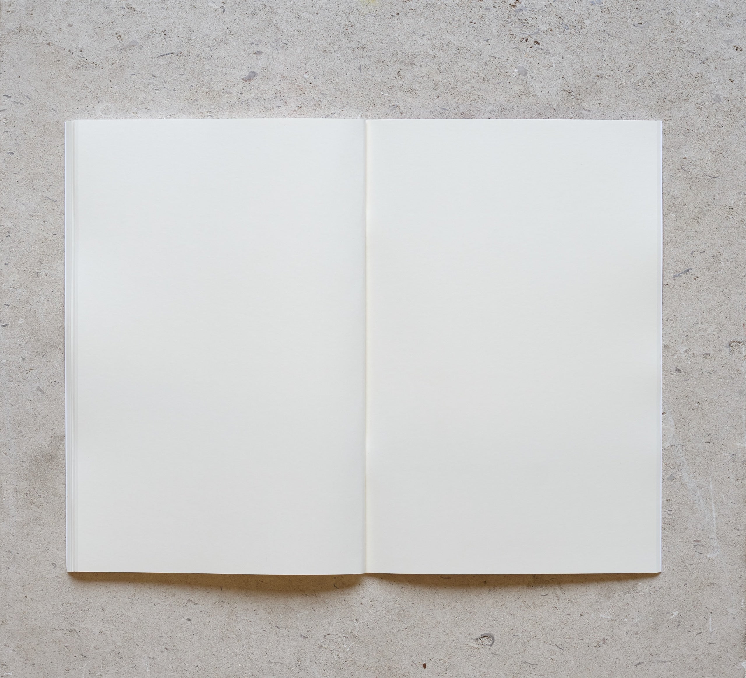 Pink Bullet Notebook