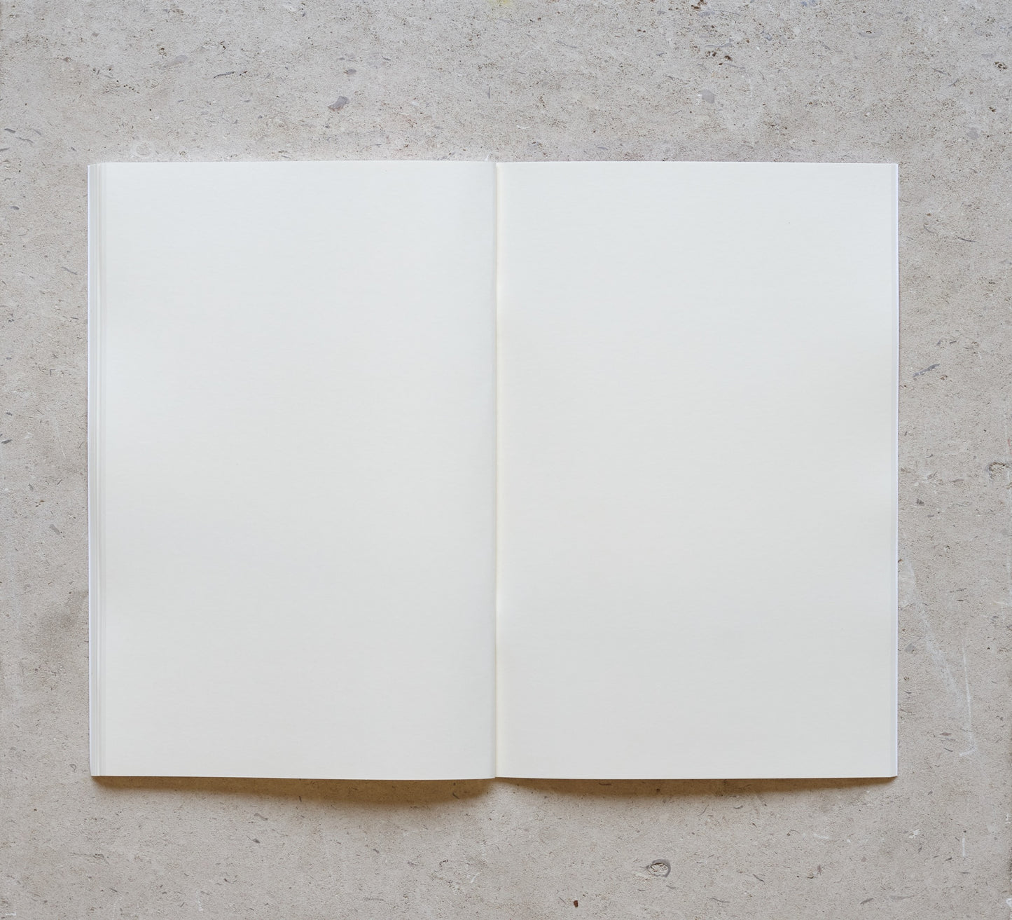 Pink Bullet Notebook